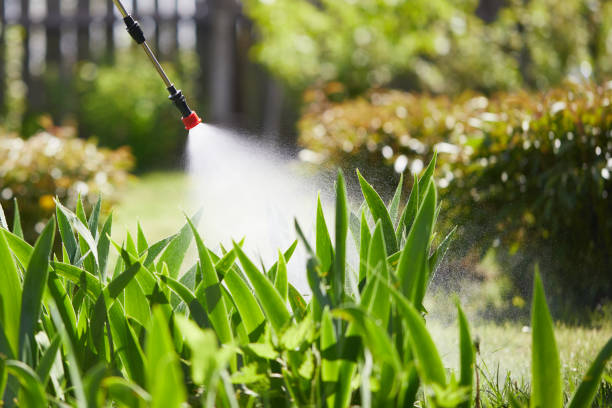 Void Injection for Cockroach Colonies in Grass Valley